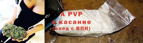 ГАЛЛЮЦИНОГЕННЫЕ ГРИБЫ Ельня