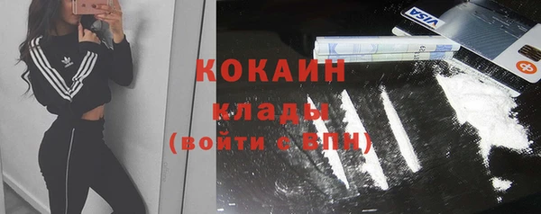 бошки Тавда