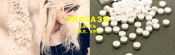 индика Заволжье