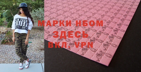 индика Заволжье