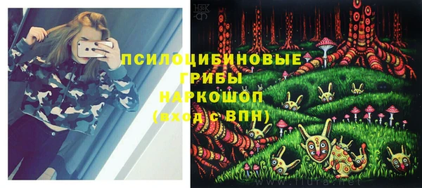 молекула духа Заволжск