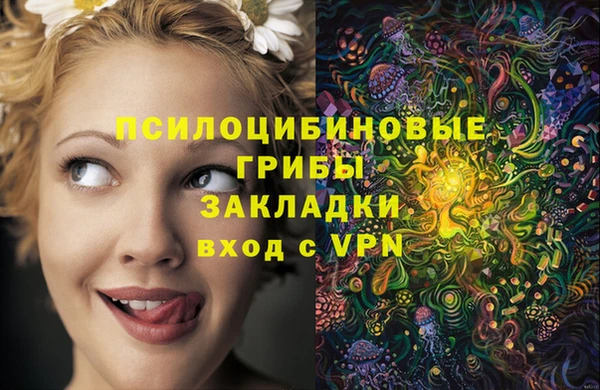 герыч Зеленокумск
