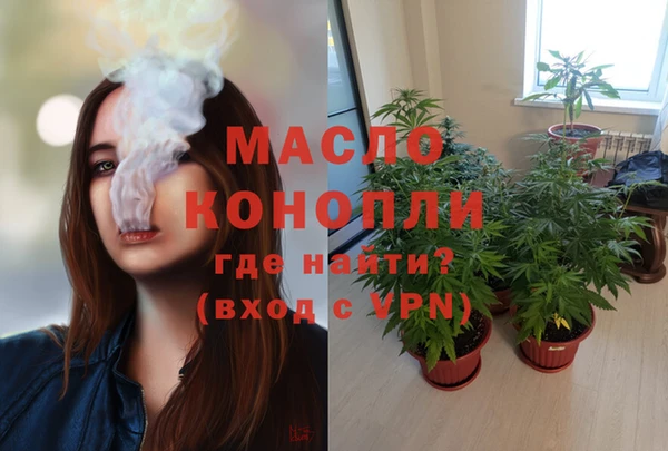 дмт Зеленодольск