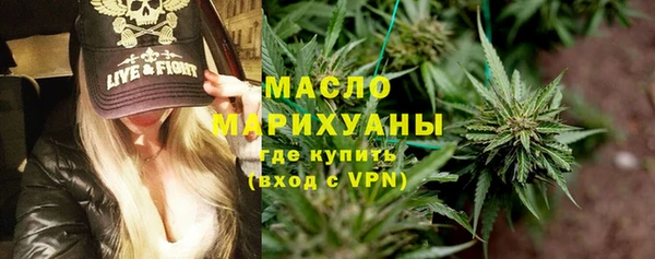 дживик Сясьстрой