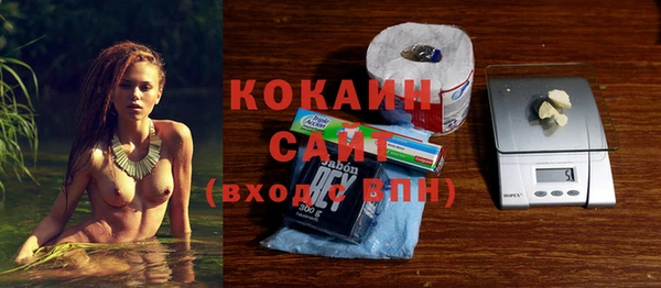 винт Инсар