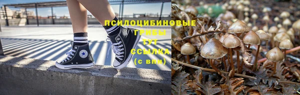 индика Заволжье