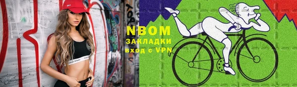 индика Заволжье