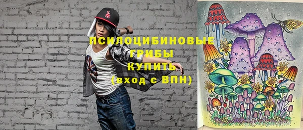 индика Заволжье