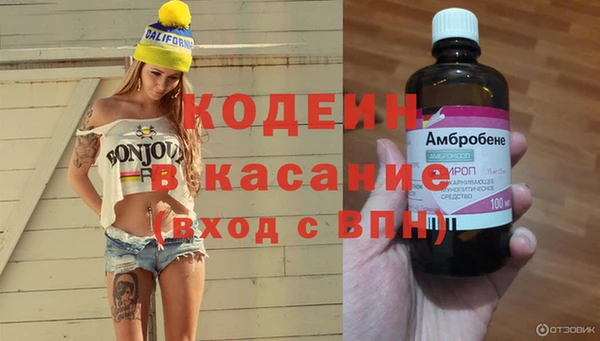 индика Заволжье